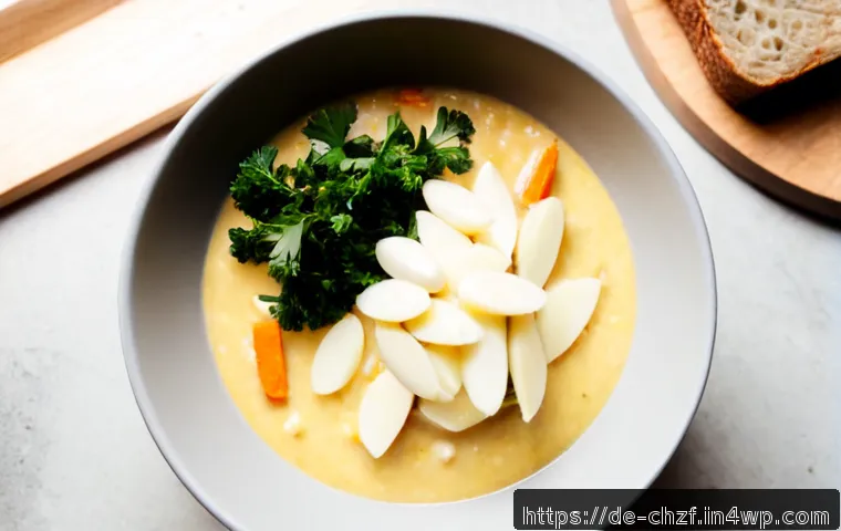 식재료 활용 요리  한 그릇으로 해결하기 - Photorealistic overhead view of a hearty German-inspired one-bowl meal: creamy potato and leek stew ...